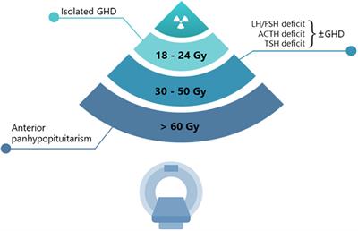 Frontiers Isolated anterior pituitary dysfunction in adulthood